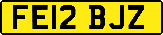 FE12BJZ