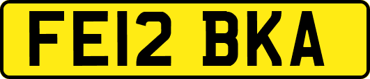 FE12BKA