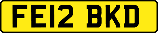 FE12BKD