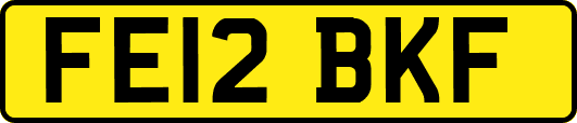 FE12BKF