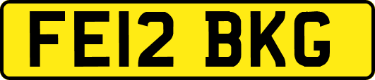FE12BKG