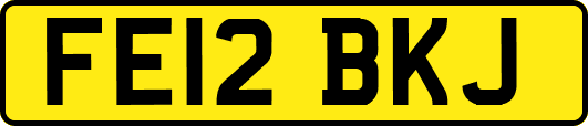 FE12BKJ