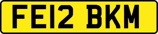 FE12BKM