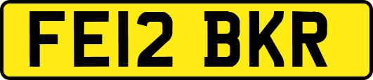 FE12BKR