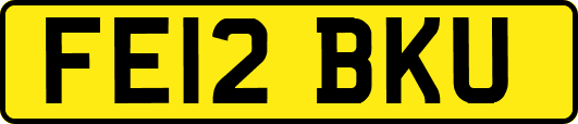 FE12BKU