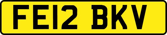 FE12BKV