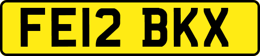 FE12BKX