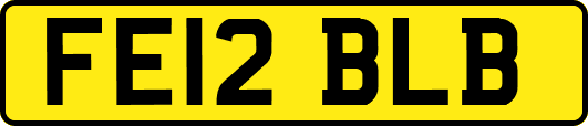 FE12BLB
