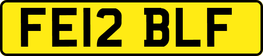 FE12BLF