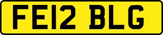 FE12BLG