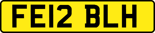 FE12BLH