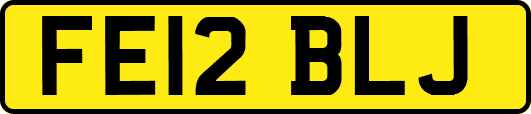 FE12BLJ
