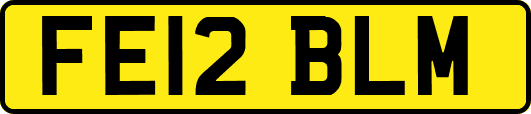 FE12BLM