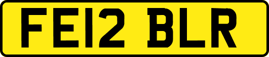 FE12BLR