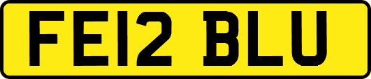FE12BLU