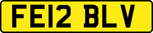 FE12BLV