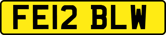 FE12BLW