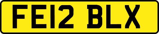 FE12BLX