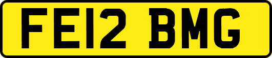 FE12BMG