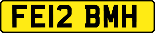 FE12BMH