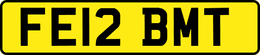 FE12BMT