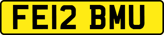 FE12BMU
