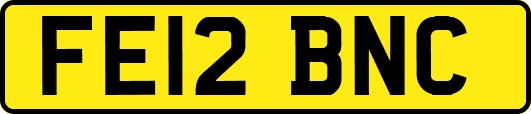 FE12BNC