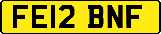 FE12BNF