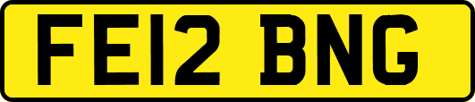 FE12BNG