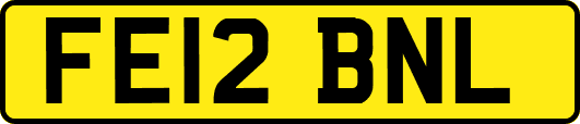 FE12BNL