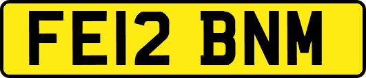 FE12BNM