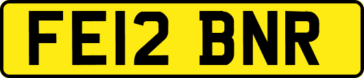 FE12BNR