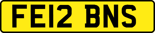 FE12BNS