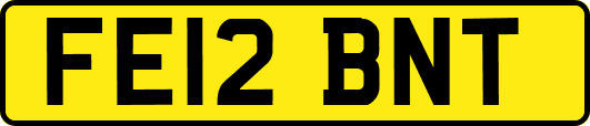 FE12BNT