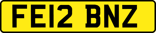 FE12BNZ