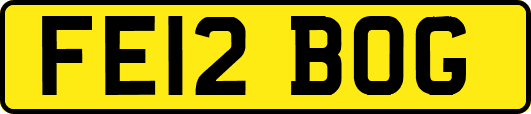 FE12BOG