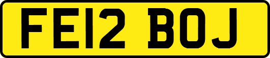 FE12BOJ