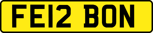 FE12BON