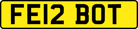 FE12BOT