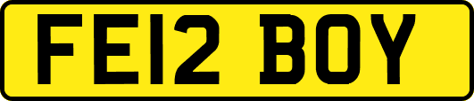 FE12BOY
