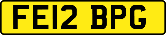 FE12BPG