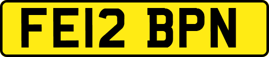FE12BPN