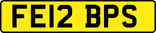 FE12BPS