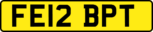 FE12BPT
