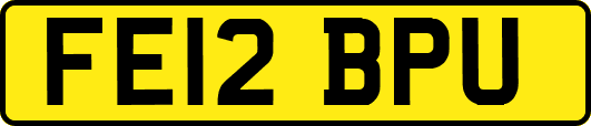 FE12BPU