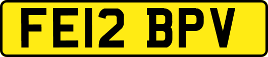 FE12BPV