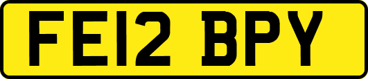 FE12BPY
