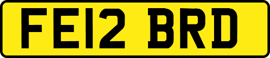 FE12BRD