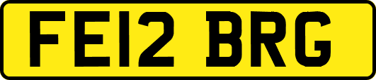 FE12BRG