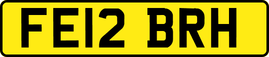 FE12BRH